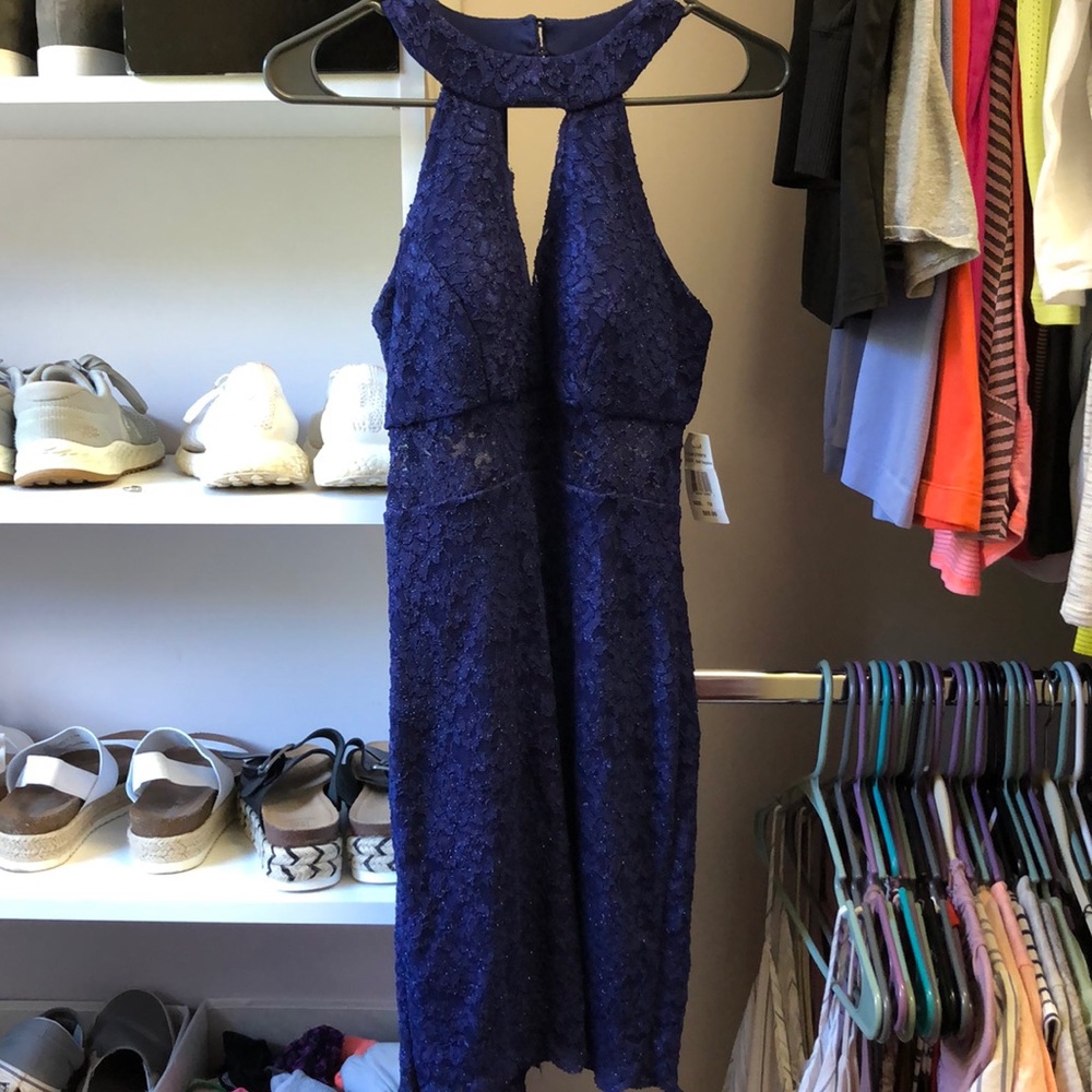 Sparkly Safire Fitted Dress